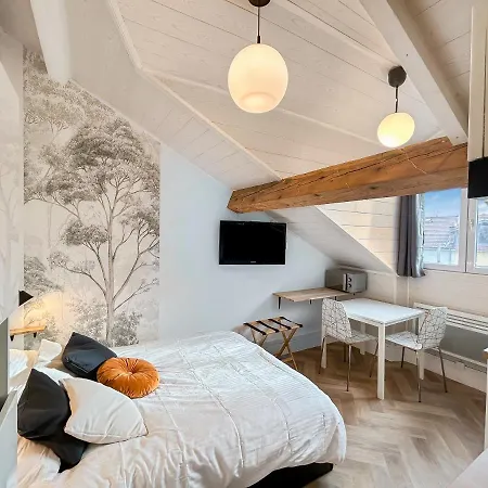 La Luminance Grenobloise - Climatisee *