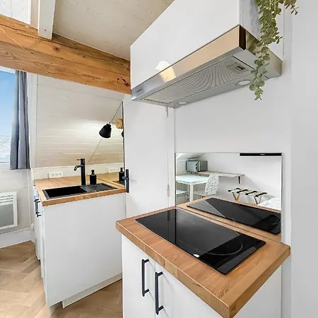 La Luminance Grenobloise - Climatisee Appartement Grenoble